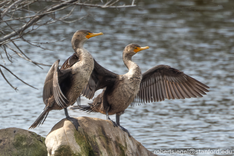 emily renzel wetlands 2024